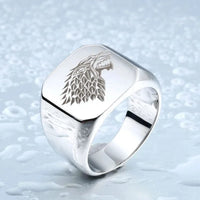 Ritterin der Familie Stark