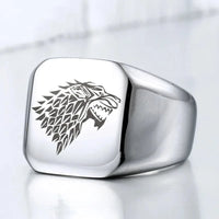 Ritterin der Familie Stark