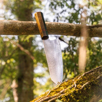 Ragnar's Viking Messer - Kulinarische Exzellenz und nordisches Erbe